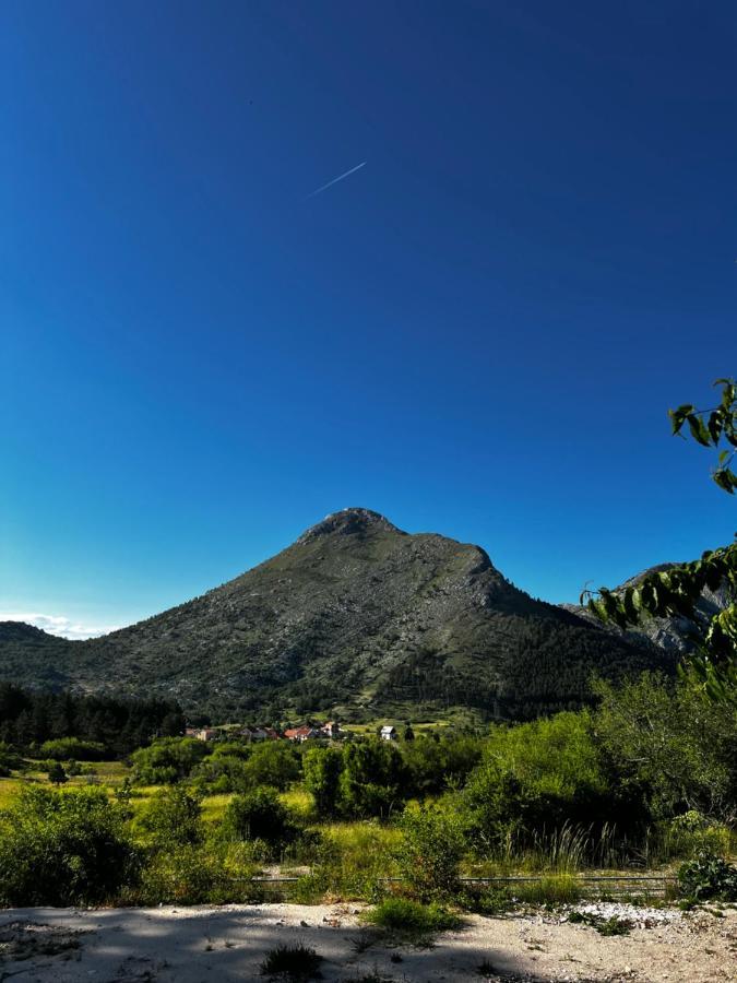 הוילה Njegusi Glamping Lovcen מראה חיצוני תמונה